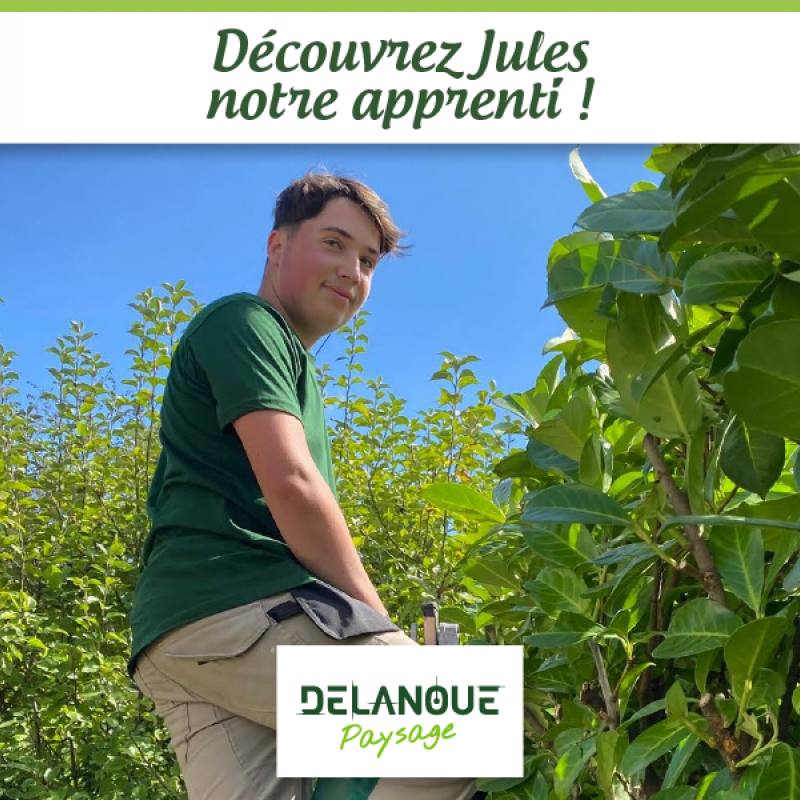 Découvrez Jules, apprenti chez Delanoue Paysage Angers Avrillé